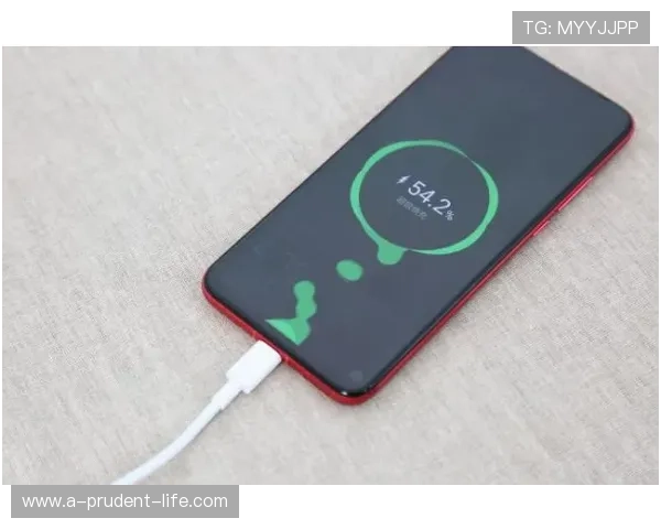 凯时手机登录遇到问题怎么办？详细故障排查与解决方案推荐