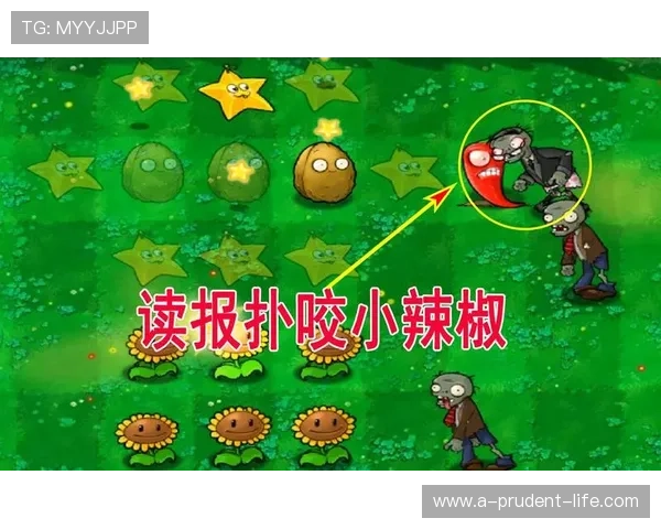 凯时备用平台最新功能介绍助你轻松应对各种游戏挑战 凯时备用平台最新功能介绍助你轻松应对各种游戏挑战